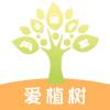 爱植树一键领和平精英皮肤助手