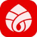 慈音视商app直播带货版