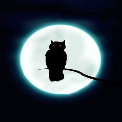 全息世界app管理版