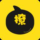 求撩漂流瓶2021版