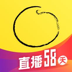 混沌大学精华课程版