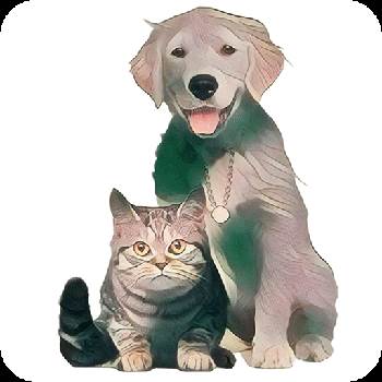 猫狗翻译官AI识别版