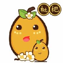 枇杷资讯手机阅读软件
