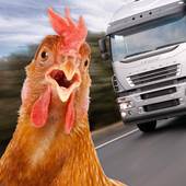 Chicken Challenge 3D(压路鸡)