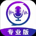 王者变声器专业免收费版