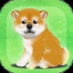 养育柴犬的治愈游戏汉化单机版