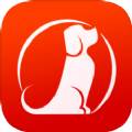 犬易管家app官方最新版
