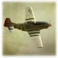 p51dsea(p51d模拟空战单机版)