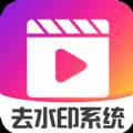视频去水印系统免费专业版