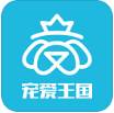 宠爱王国指导平台专业版
