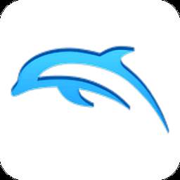 Dolphin Emulator(海豚模拟器安卓)