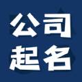 公司起名测名专家版
