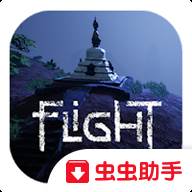 Flight游戏(飞行虫虫助手安装器)