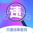 违章缴费专业版