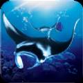 The Manta rays(蝠鲼模拟器)