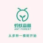 秋风2.4.2(秋风蚂蚁森林助手)