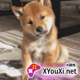 JD助手app