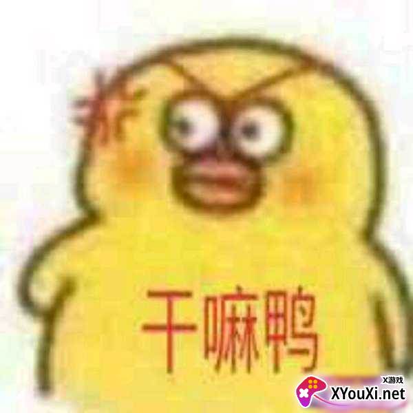 干嘛鸭辅助器