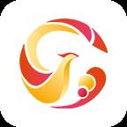 云上金凤app