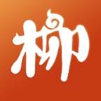 柳淘软件