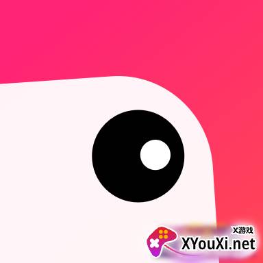 p图拼图相机