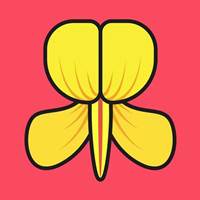 金雀花app