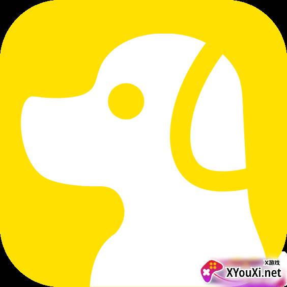 十一维app