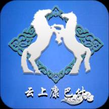 云上康巴什客户端