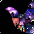 名鹊Club app