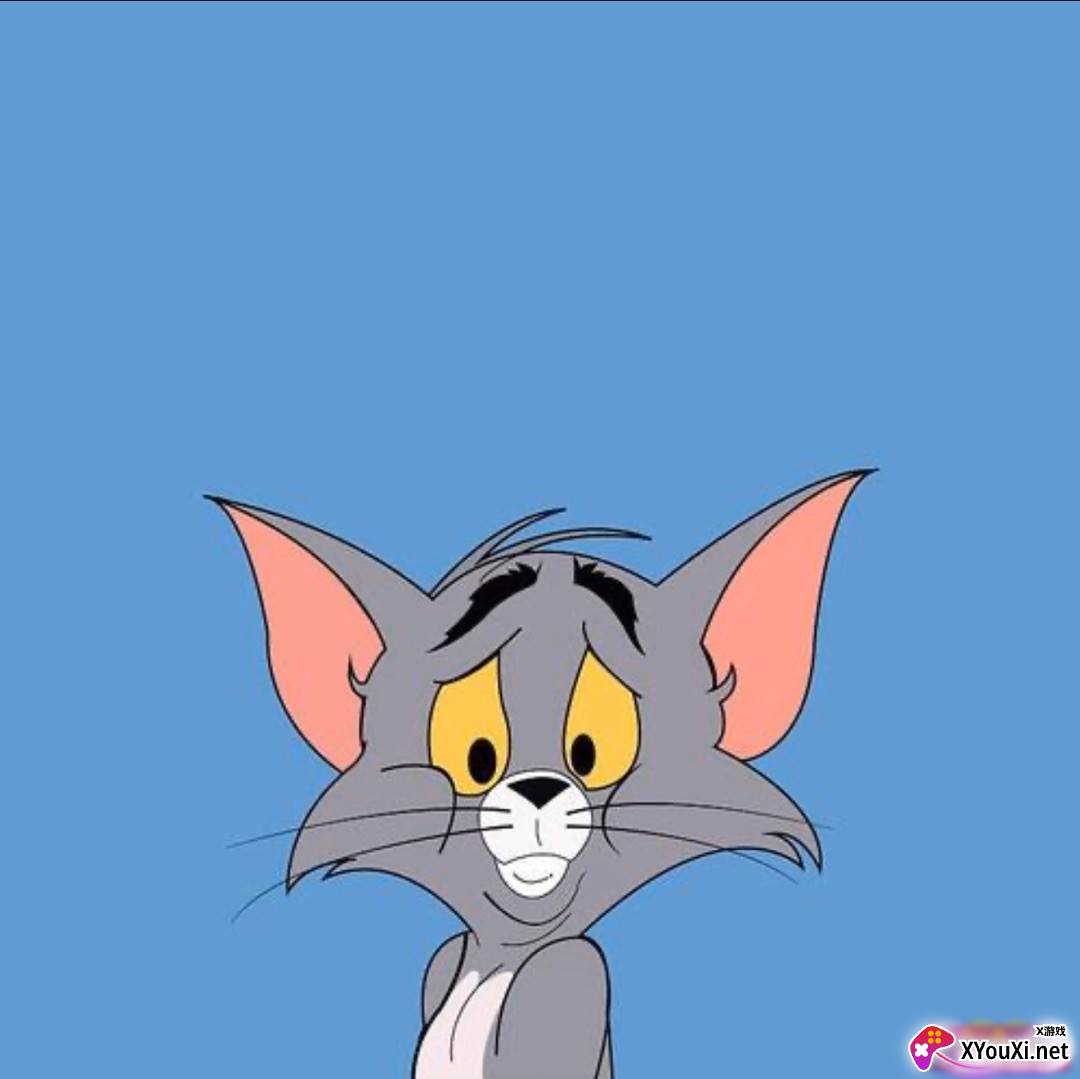 汤姆猫辅助