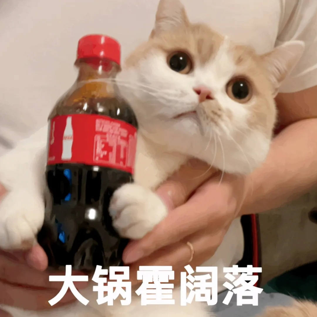 null绘制app