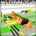 竞争对手赛狗Rival Stars Greyhounds Dog Racing Game