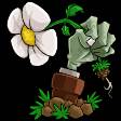 植物大战僵尸ST版游戏