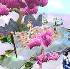 躺平仙侠版.apk(躺平修仙)