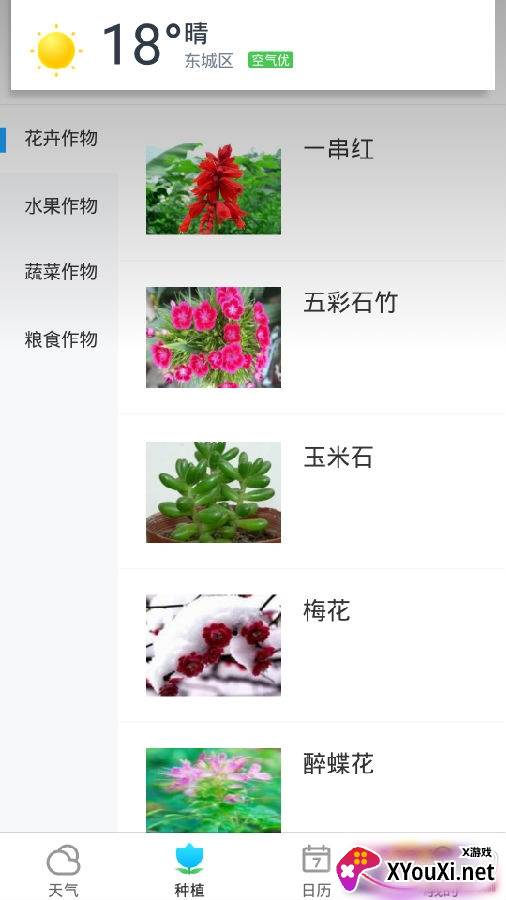 迈致祥云天气播报版