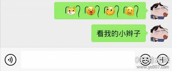 一个小辫子两根毛的表情包图片在线教程版