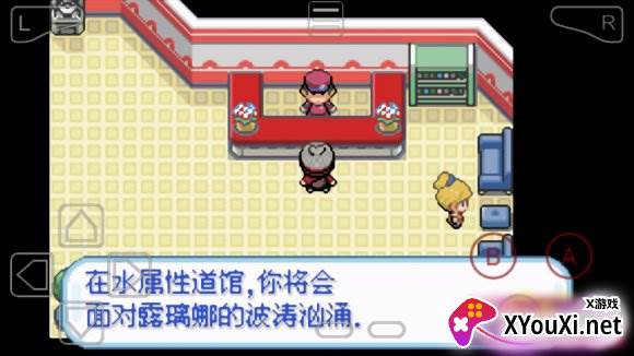 口袋妖怪剑盾随机版