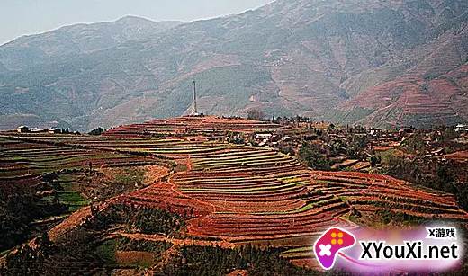 东川融媒体中心