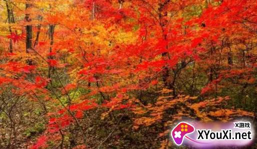 冀云平泉2022最新版