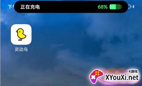 小米灵动鸟主题安卓版
