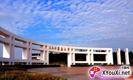 掌上杏林客户端 掌上杏林客户端