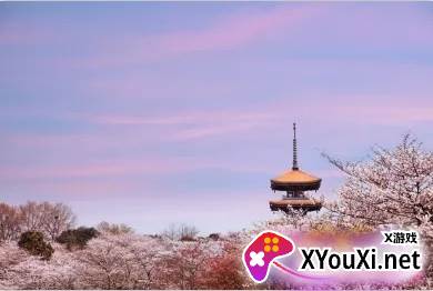 云上武汉客户端