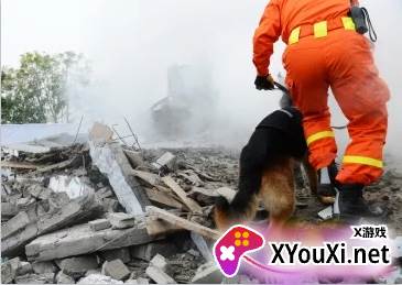 地震报警手机客户端