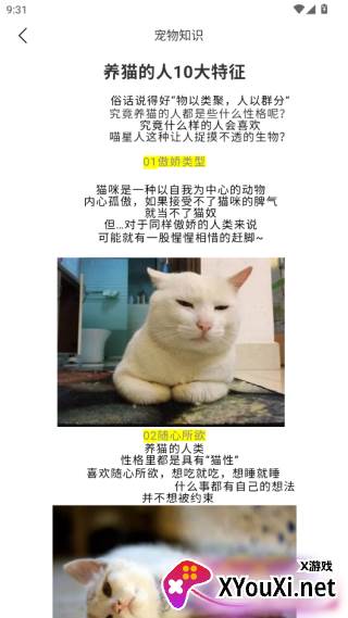 peppy cat安卓版本