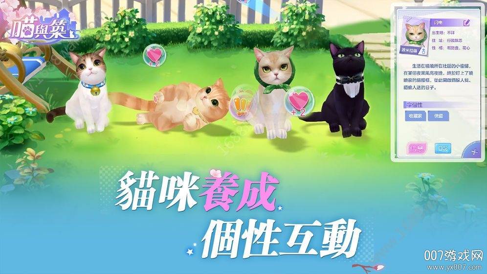 喵与筑手游无限猫爪版