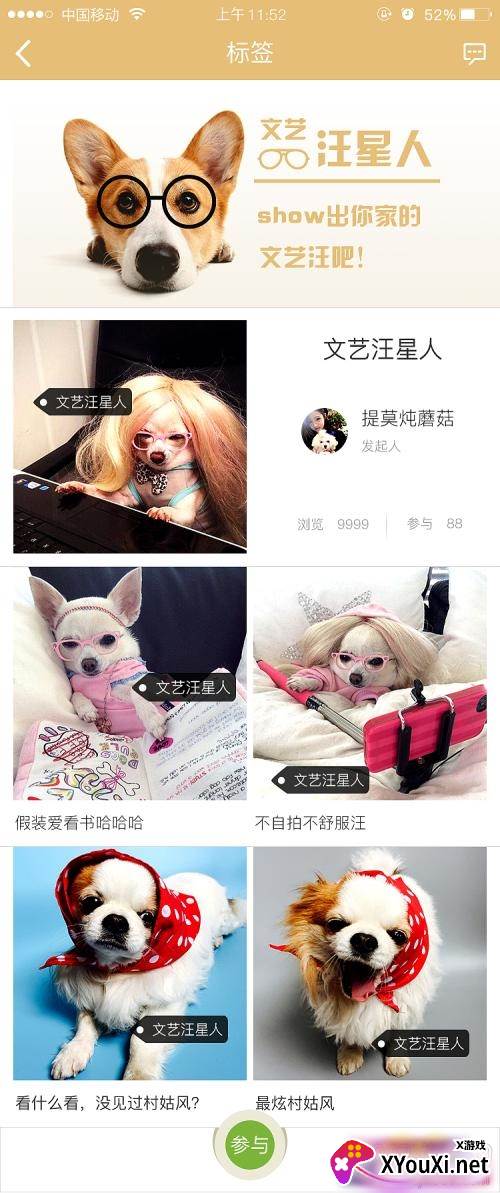 乐皮宠物领养平台