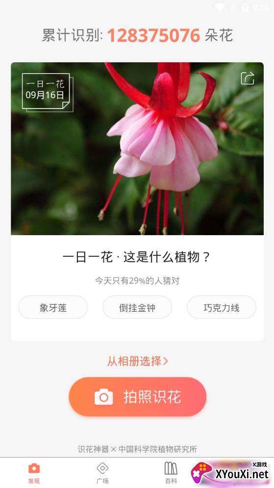 识花神器精准识别植物app