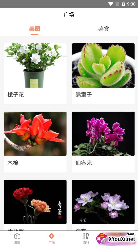 识花神器精准识别植物app