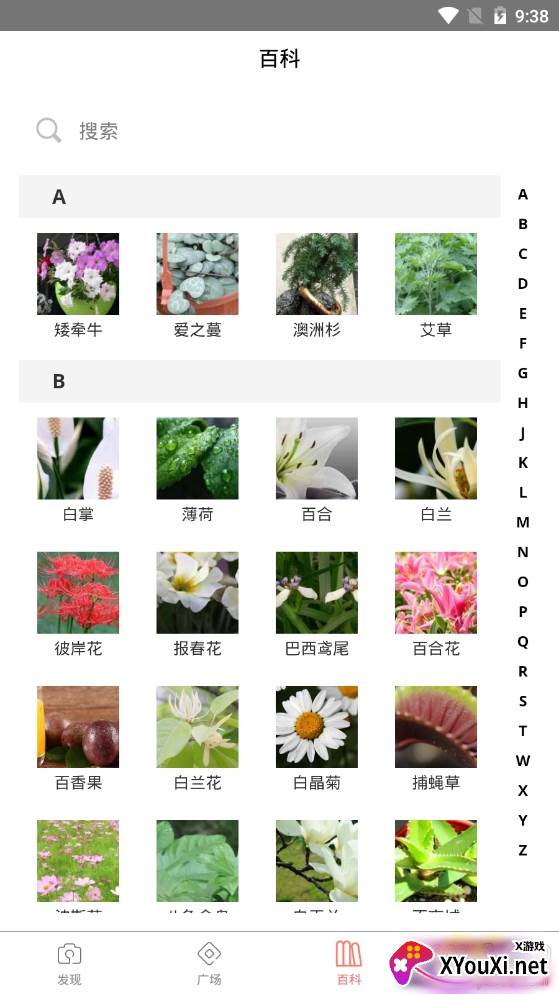 识花神器精准识别植物app