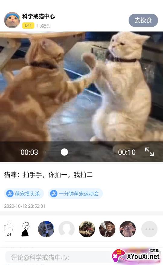 猫咪社区线上撸猫铲屎官版 猫咪社区线上撸猫铲屎官版